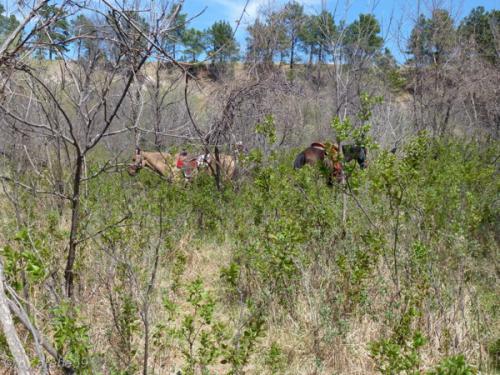 IMG_20120424140448_516