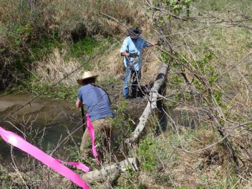 IMG_20120424140457_517