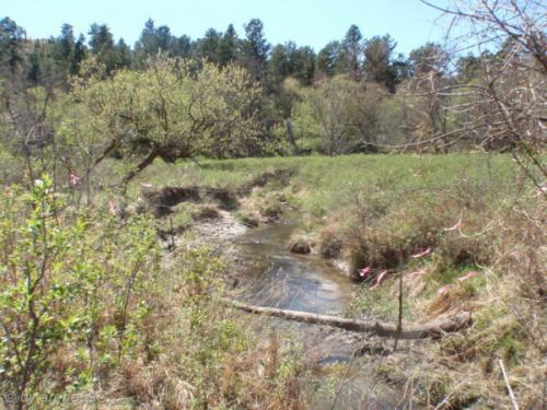 IMG_20120424141720_497