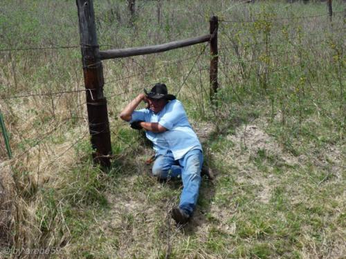 IMG_20120424145855_514