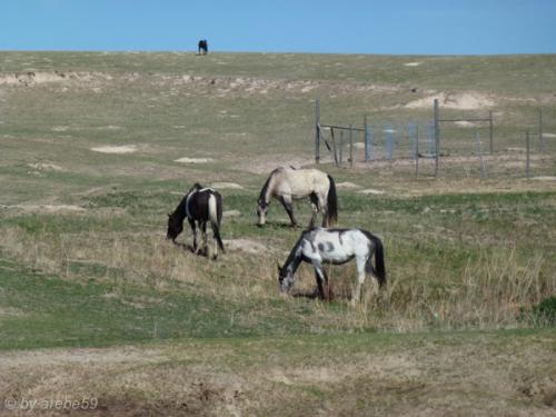 IMG_20120424155033_520