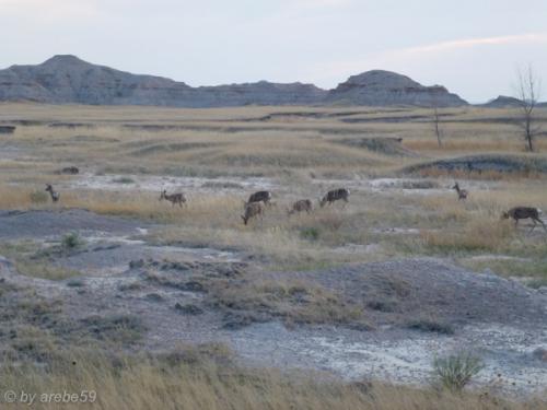 IMG_20120424184651_527