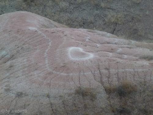 IMG_20120424190700_531