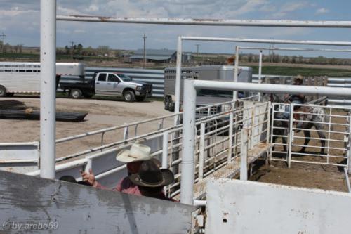 IMG_20120425115551_158