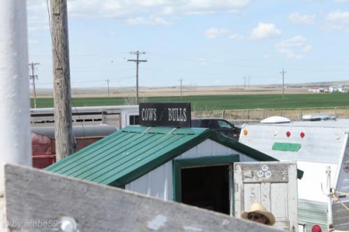 IMG_20120425115707_160