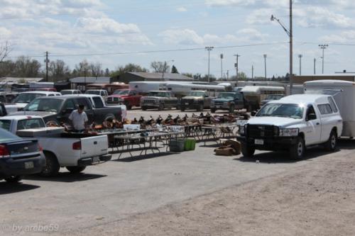 IMG_20120425120141_161