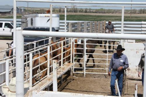 IMG_20120425120238_163