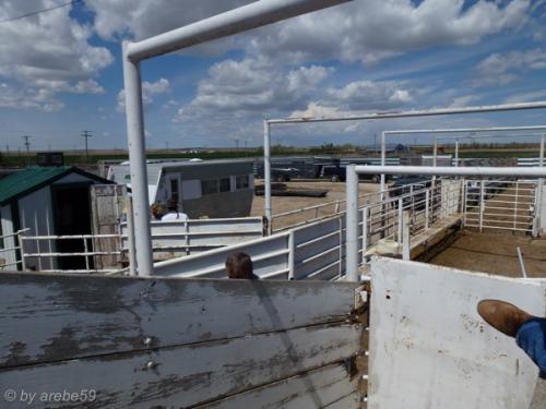 IMG_20120425120707_535