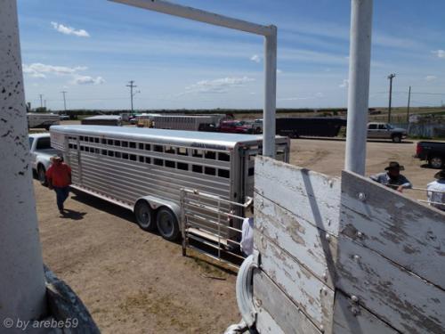 IMG_20120425120714_536