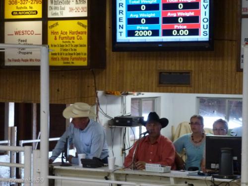 IMG_20120425131130_540