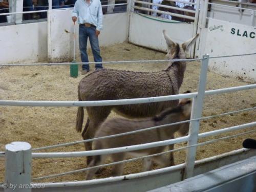 IMG_20120425135757_548