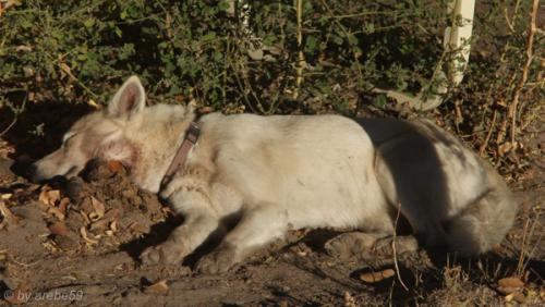 IMG_20121007081836_0003