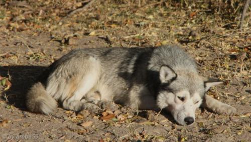 IMG_20121007083730_0005