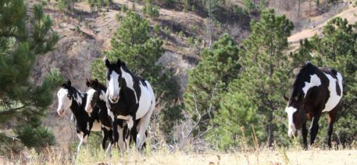 IMG_20121008103834_0170