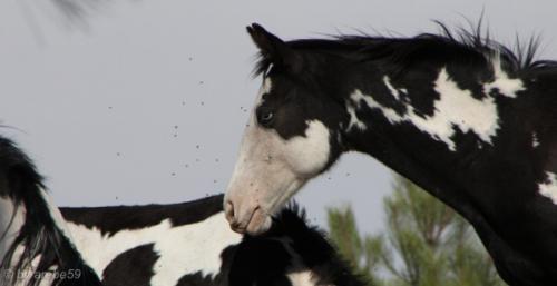 IMG_20121008104813_0191