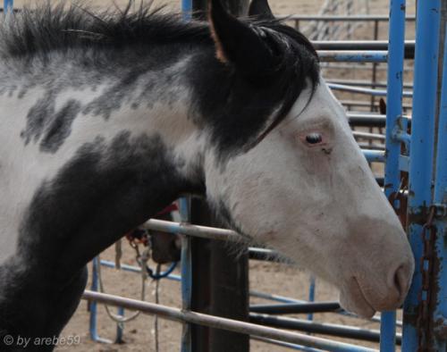 IMG_20121008121610_0198