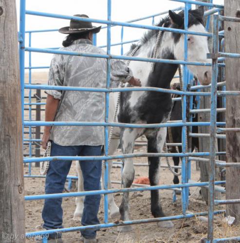 IMG_20121008122026_0209