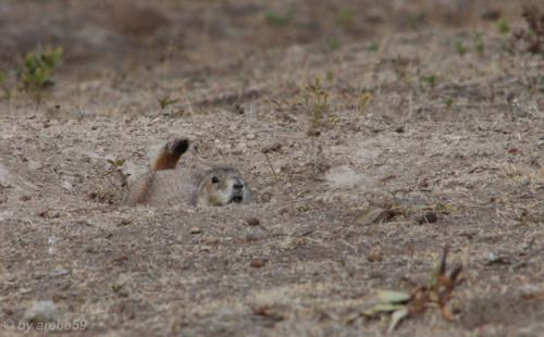 IMG_20121009154216_0225