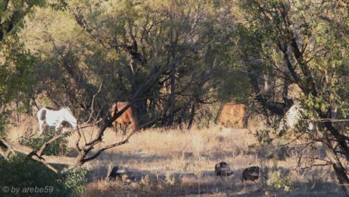 IMG_20121009172031_0240