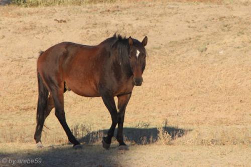 IMG_20121009172300_0242