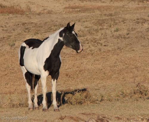 IMG_20121009172309_0244