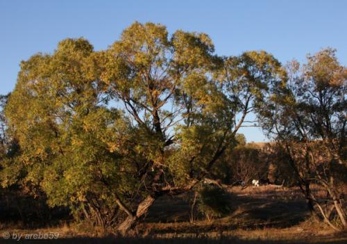 IMG_20121009172315_0245