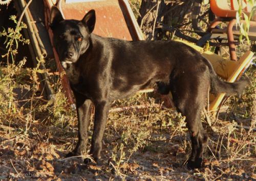 IMG_20121009172931_0253