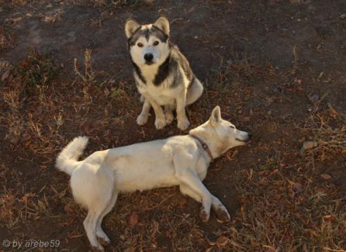 IMG_20121010072310_0256