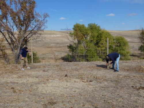 IMG_20121011144319_0022