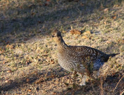 IMG_20121011170847_0276