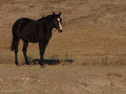 IMG_20121011171108_0278