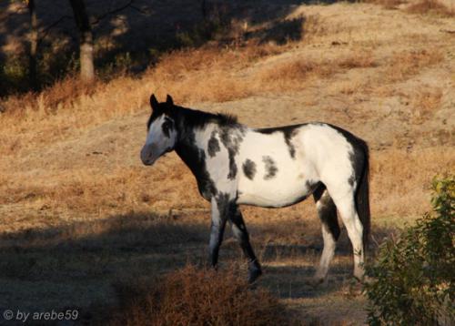 IMG_20121011171304_0282