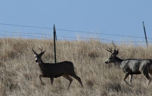 IMG_20121012094002_0292