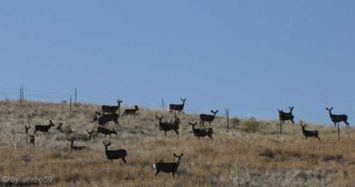 IMG_20121012094010_0293