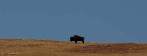 IMG_20121012104357_0294