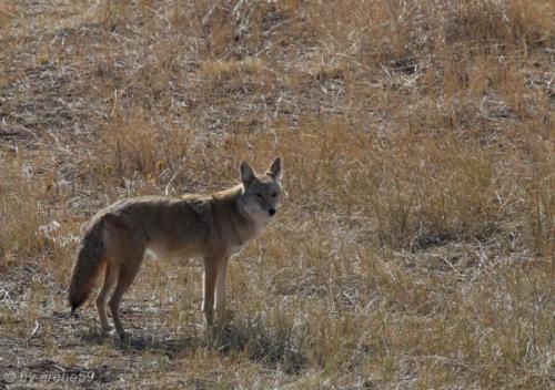 IMG_20121012105004_0298