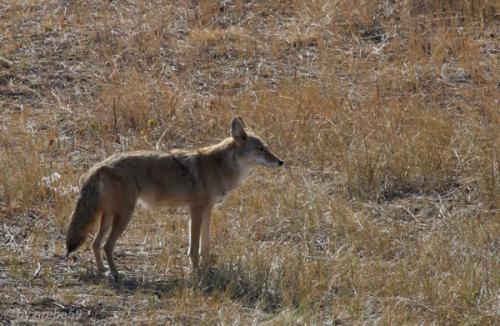 IMG_20121012105006_0300