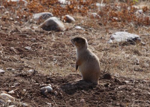 IMG_20121012105057_0303