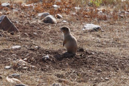 IMG_20121012105058_0303