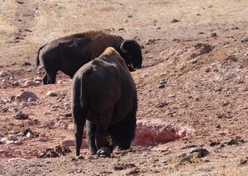 IMG_20121012105431_0307