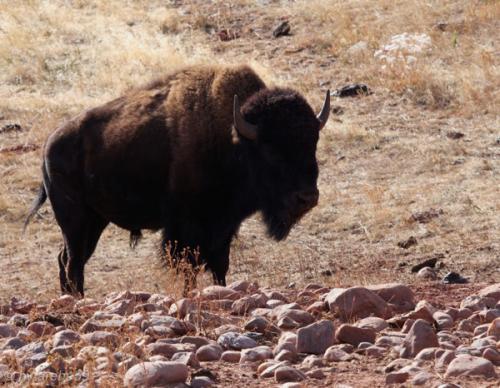 IMG_20121012105442_0308