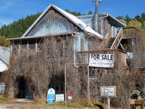 IMG_20121012142824_0047