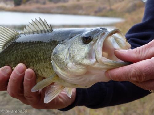 IMG_20121013115017_0053