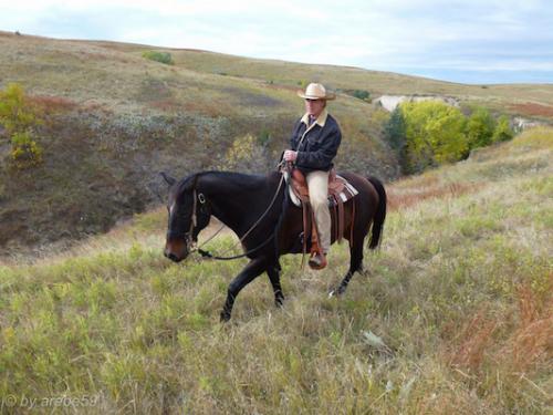 IMP_20141007_134756_338