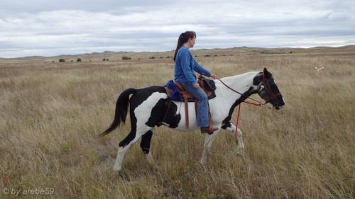 IMP_20141007_210958_422