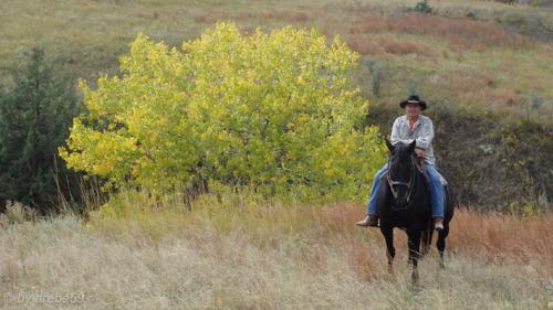 IMP_20141007_214812_433