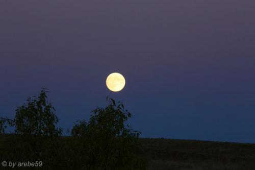 IMP_20141008_012451_025