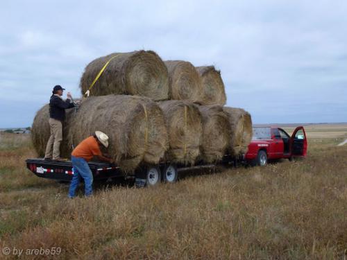 IMP_20141010_104058_362