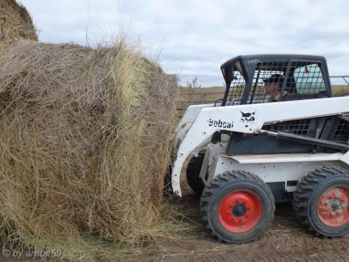 IMP_20141010_125459_370