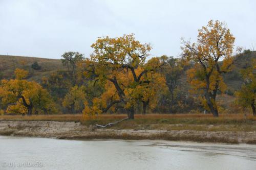 IMP_20141012_182252_084